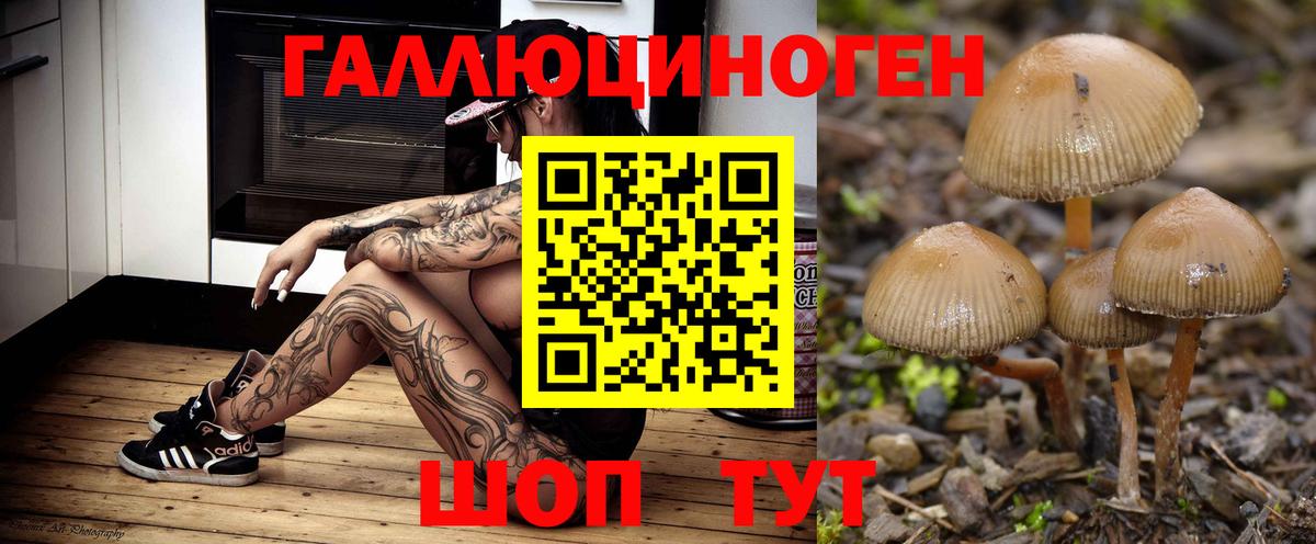 Галлюциногенные грибы мухоморы  Вход с VPN  Тамбов  что такое   Галлюциногенные грибы Psilocybine cubensis 